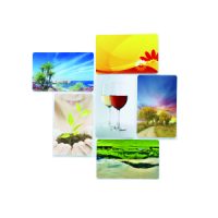 Printed-Card-300x300